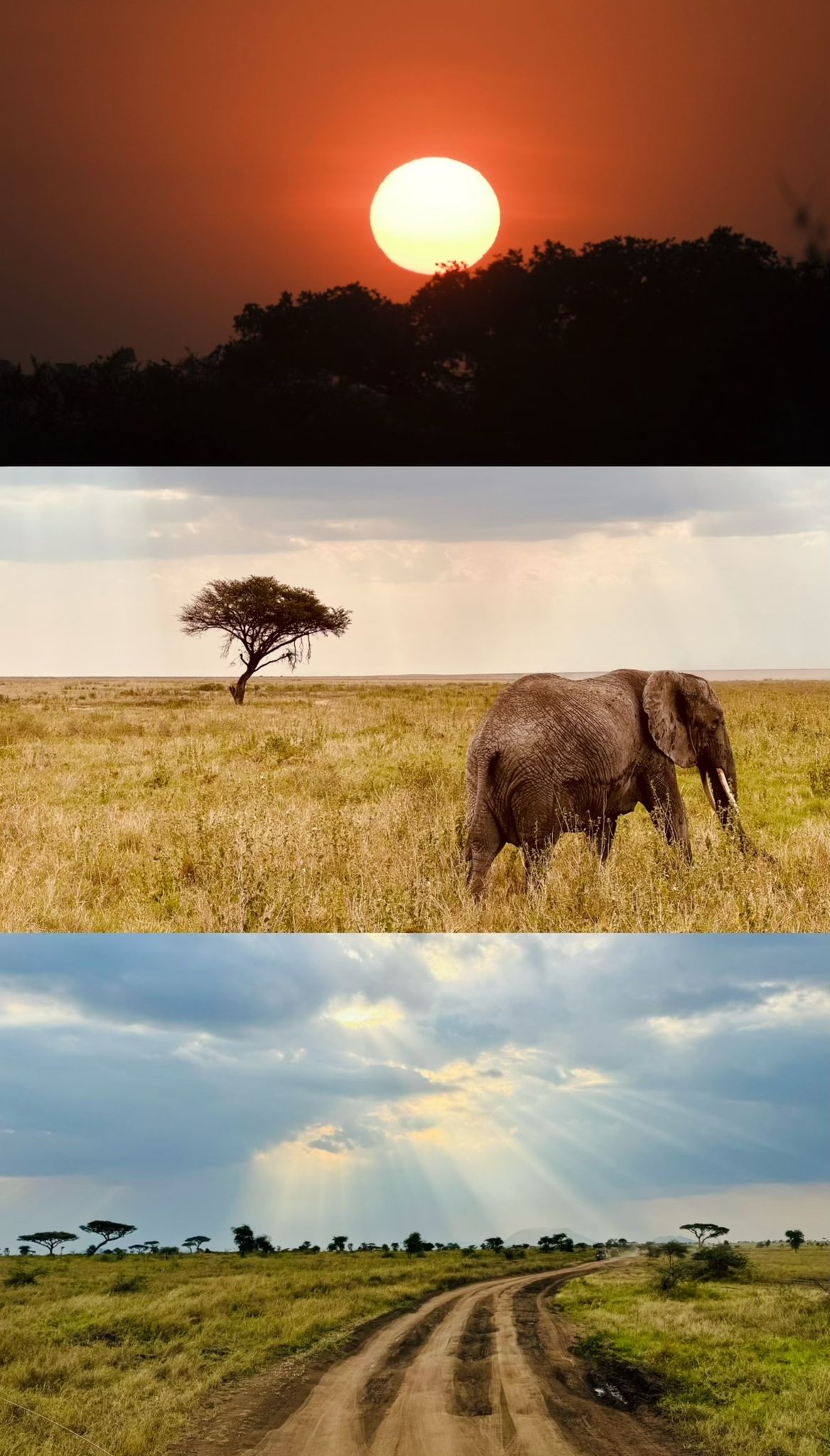 Tanzania_01