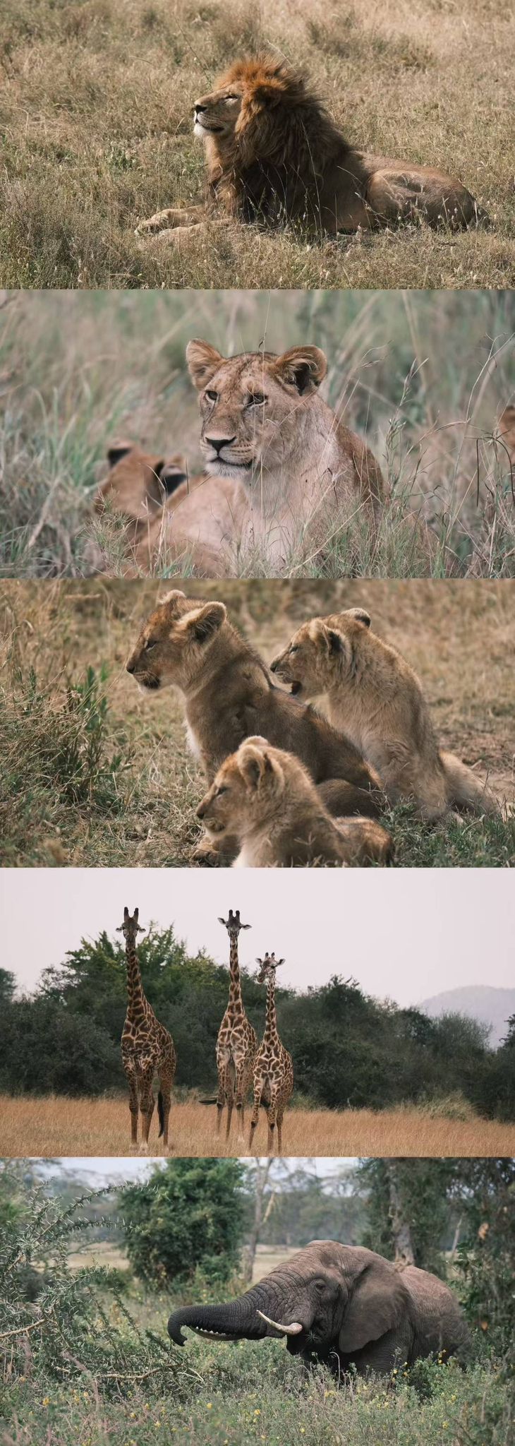 Tanzania_02