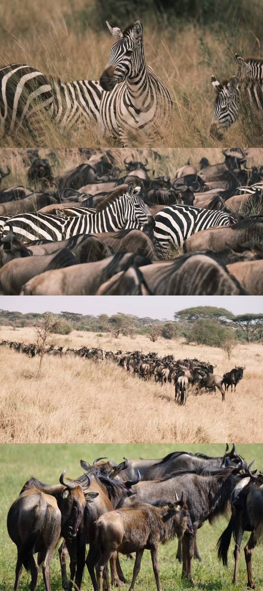 Tanzania_03